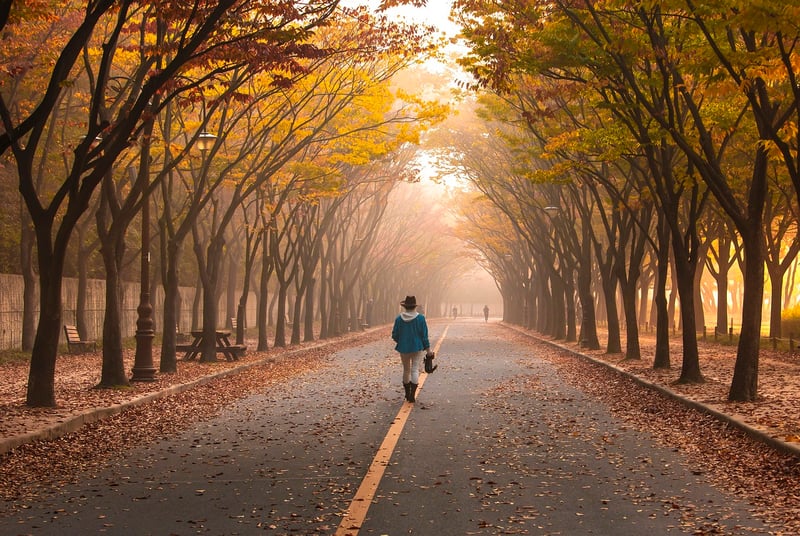 Woman walking on a path towards her dreams